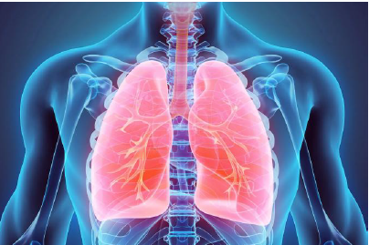 Read more about the article การตรวจสมรรถภาพปอดในงานอาชีวอนามัยสำหรับการเรียนการสอนชุดวิชา 54133 พิษวิทยาและเวชศาสตร์ป้องกัน                                                                         โดยผู้ช่วยศาสตราจารย์ ดร.อภิรดี  ศรีโอภาส